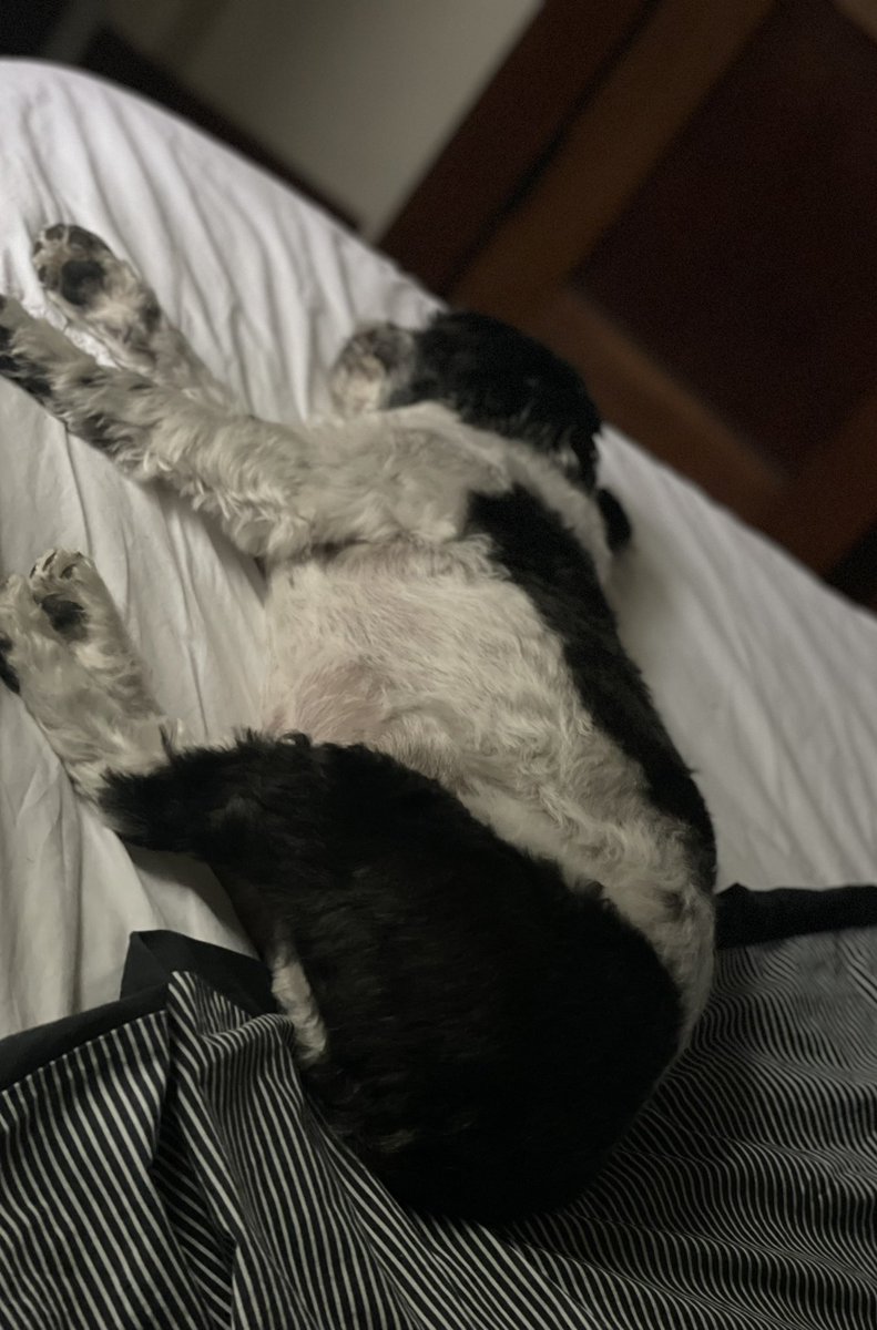 #sundayvibes  #SundayMorning