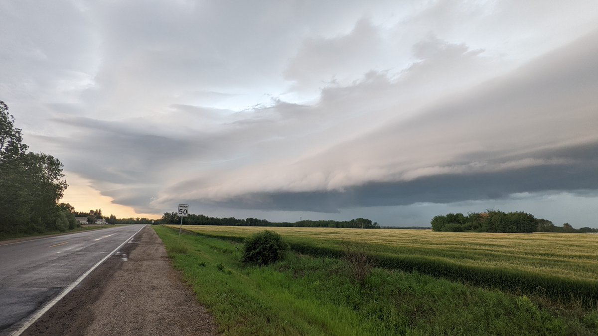 Daxton D tweet media