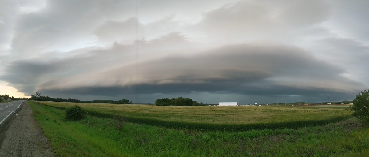 Daxton D tweet media