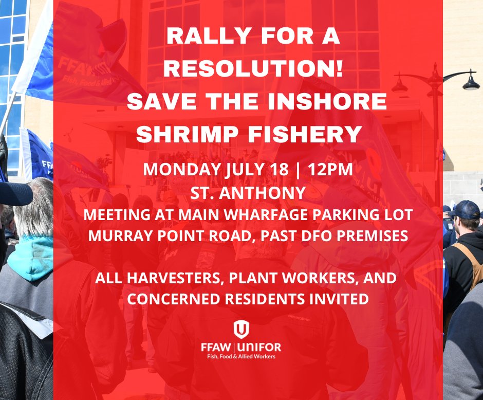 🚨RALLY IN ST. ANTHONY FOR A RESOLUTION TO THE INSHORE SHRIMP FISHERY🚨Frustrations continue without action from <a href="/GovNL/">Government of Newfoundland & Labrador</a>! Harvesters &amp; plant workers stand together in agreement: no boats land on Northern Pen for $0.90, no industrial shrimp processed without local.