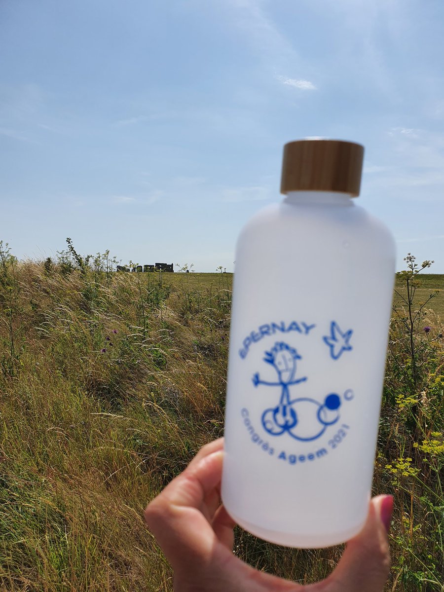 ageem3201's tweet photo. Pour les vacances, la gourde AGEEM s'est exportée au temps du Néolithique. @AGEEM_National @AgeemAcTlse @EH_Stonehenge https://t.co/adxyPM1290