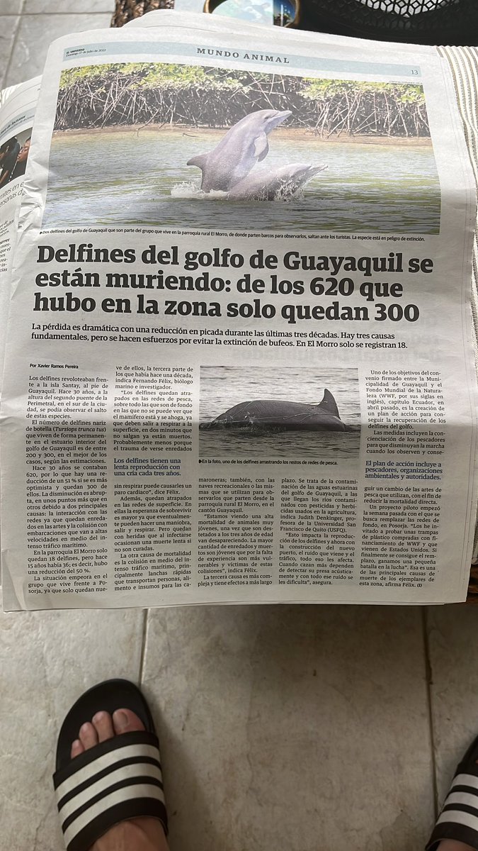 Saul Ochoa (@saulochoa) on Twitter photo Una gran pena esta noticia, que afecta a nuestra ciudad y su identidad, ya que el golfo lleva nuestra nombre, y las parroquias el Morro, Posorja y Puna, pertenecen a nuestro Cantón. Se que usted <a href="/CynthiaViteri6/">Cynthia Viteri</a>, puede ayudar e iniciar una política de protección de nuestra fauna. Una gran pena esta noticia, que afecta a nuestra ciudad y su identidad, ya que el golfo lleva nuestra nombre, y las parroquias el Morro, Posorja y Puna, pertenecen a nuestro Cantón. Se que usted <a href="/CynthiaViteri6/">Cynthia Viteri</a>, puede ayudar e iniciar una política de protección de nuestra fauna.