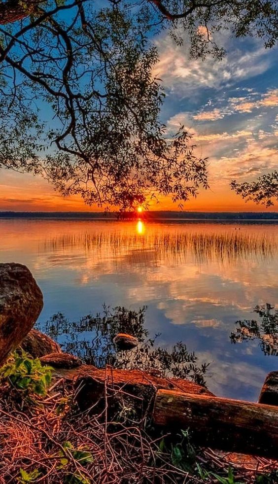 Good evening my friends!
#photos #photography #evening #sunset