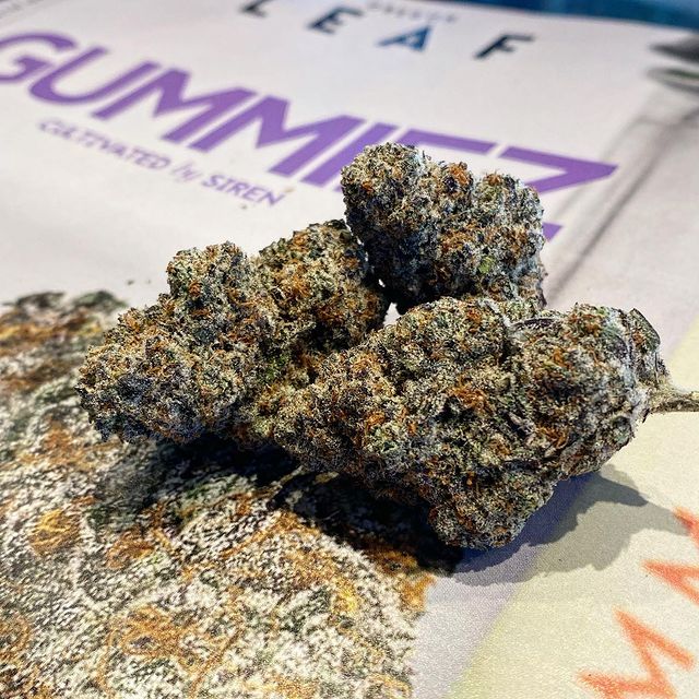 vintsweedy's tweet image. #ukcannabis #cannabis #cannabiscommunity #weed #uk #ukcannabiscommunity #hightimes #thc #ukweed #weedporn #cannabisculture #cbd #weedstagram #dank #durham #stoner #marijuana #life #ukcannabisclubs #terps #topshelf #cannabisuk #endthewarondrugs #prohibitionistheproblem