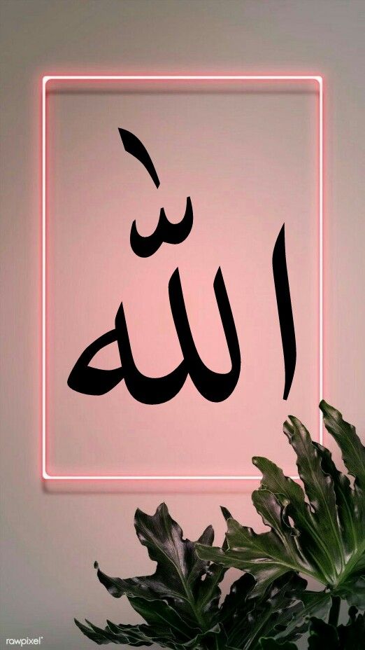 Syed Shakeel Hussain Zaidi 💎 tweet media