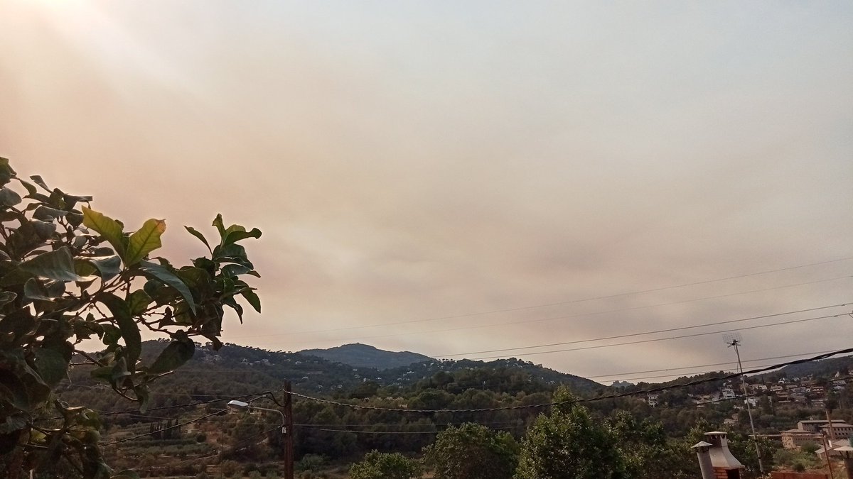 @agentsruralscat Desde #castellardelvalles a el #ParcSantLlorenc cobert de fum de l'incendi de #pontdevilomara molt trist tot plegat.