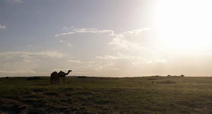 Somalieye122's tweet photo. Warsheekh, Soomaaliya. https://t.co/To0iVS3lLt