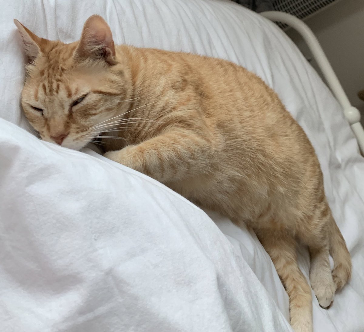 i waaked upp wit You,,