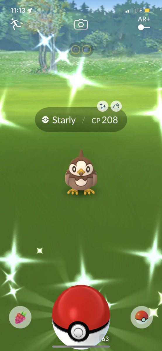 SHCrook's tweet image. Brown Birbs