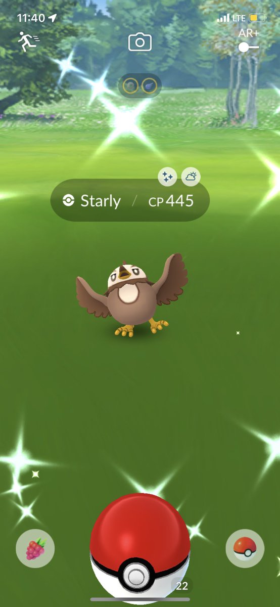 SHCrook's tweet image. Brown Birbs