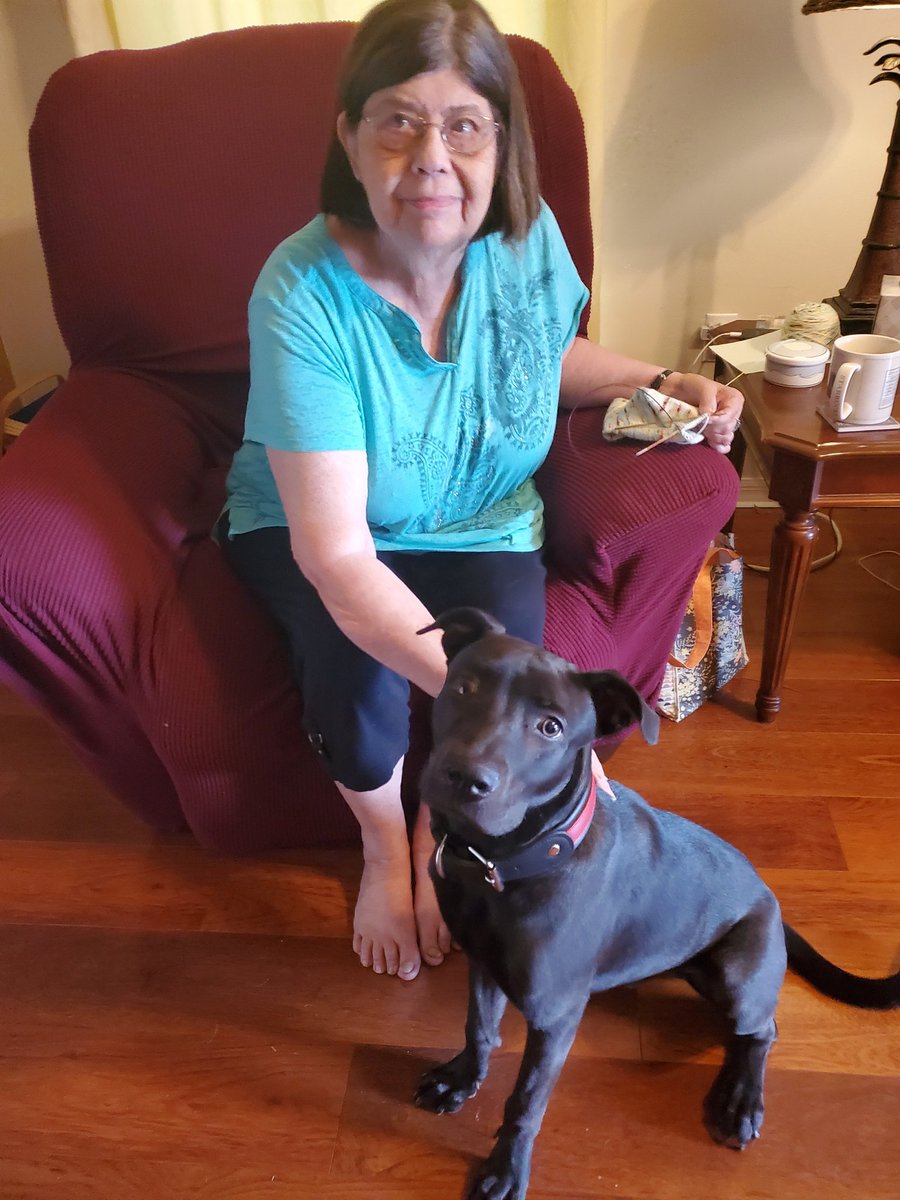 321FlaSpaceGirl's tweet photo. Hi #yall!! #LilJess is 7 mo old now and still growing!! Here is his with his #Grammy!! She kept saying how well mannered he is. I'm quite proud of he's turning out!!
#321SpaceCoastFlorida https://t.co/IYyvU4Wyon
