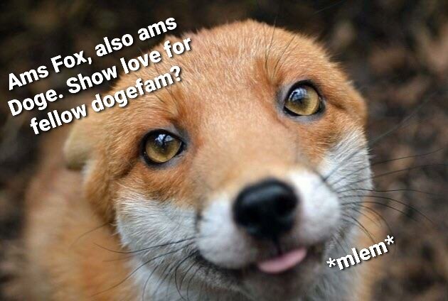 JohnDoge tweet media