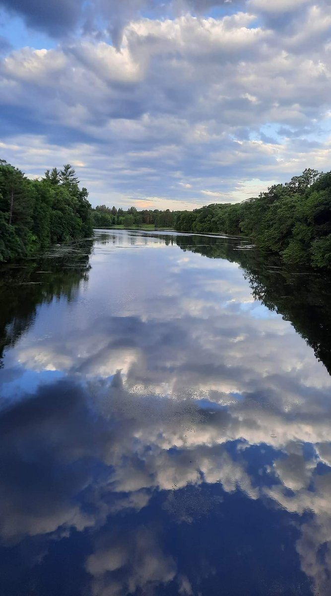 SHMBenedictines's tweet photo. #BHSummer22: Our Sister Terry attended the Monastic Institute at @saintjohnsabbey and was walking a path between sessions when nature revealed a view of #GodsGranduer, the beauty of God's creation.
#YanktonBenedictines @bustedhalo #nature #creation #reflection #prayer https://t.co/JMe6sTIj5L
