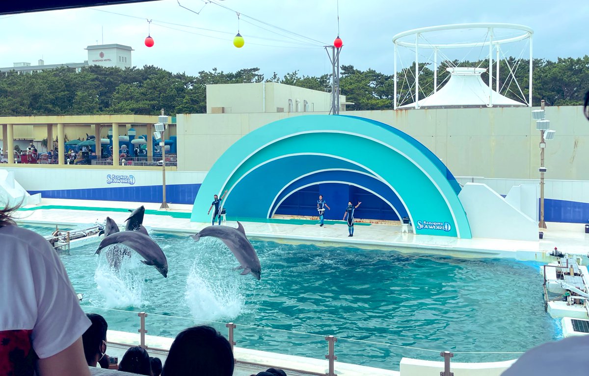 みんなの ベルーガ 口コミ 評判 食べたいランチ 夜ごはんがきっと見つかる ナウティスイーツ