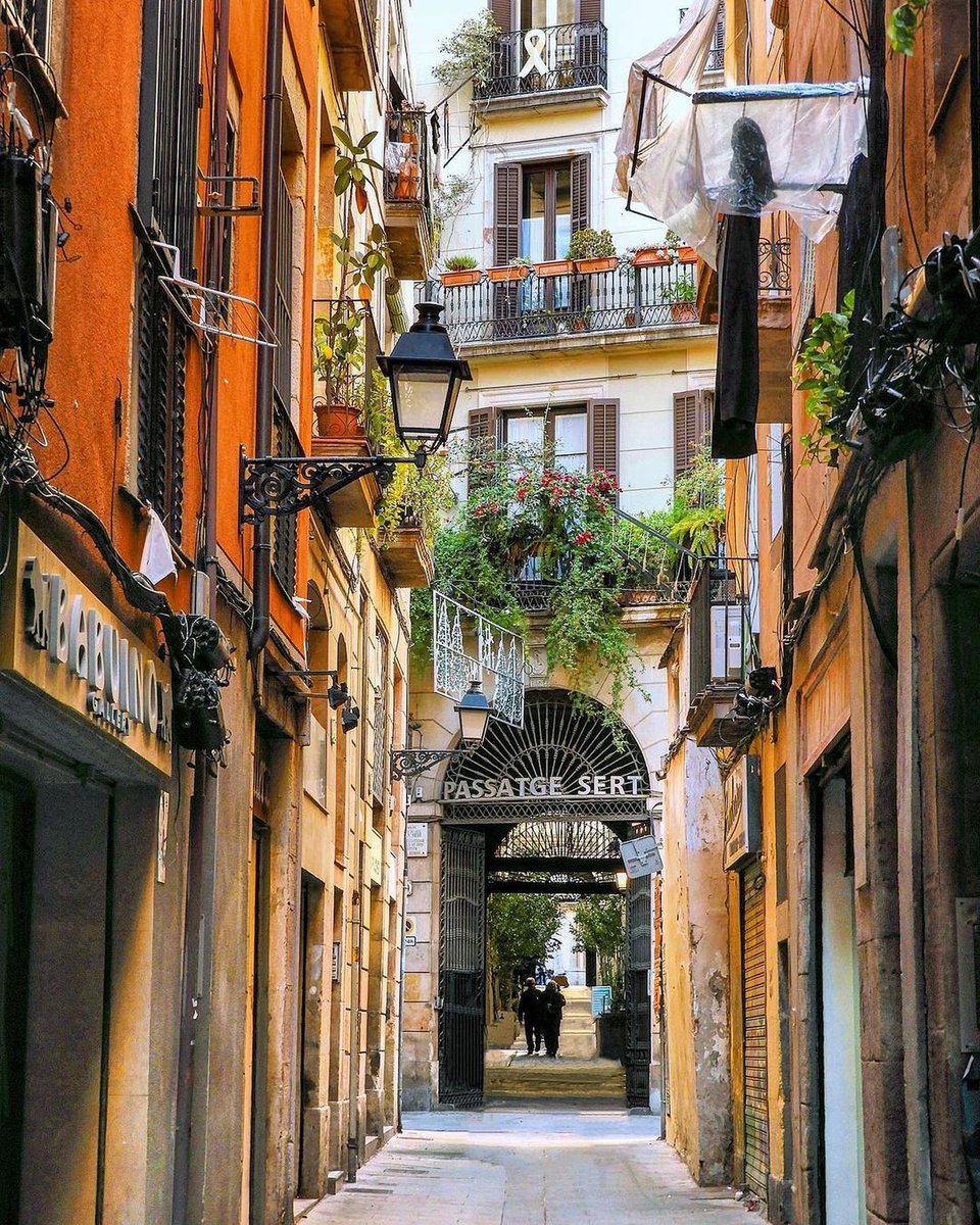 VisitBCN_EN's tweet image. 🪴 Passatge Sert is a green haven in the middle of the Eixample. Do you know it? 🤔
📸 © julianontheroute (IG)
#visitbarcelona #passatgesert #barcelonalovers