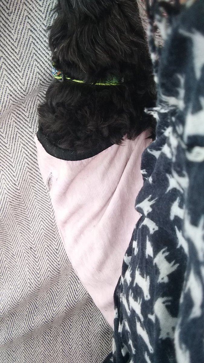 <a href="/StanPic25845029/">Stan 🐾🌈 🏳️‍🌈Ronda💖💙Laveen💔Miss Veronica🌈</a> <a href="/dinandreoli/">🇨🇭Dina & a-Bora-ble🇮🇹🌈Benji Lottie and MK🕯❤️</a> <a href="/smoke_schnauzer/">Smoke 💔</a> <a href="/NobleMorkie/">Beckham 💔RIP Paddy❤️</a> <a href="/BenjiTibetan/">Benji the Tibetan🌈8/3/22 Lucy the cat 27/11/22</a> <a href="/nannysue_sue/">Nanny Sue</a> @ScrappyDaDog14 <a href="/ShennyWalrond/">Shenny,Teddy&Koty,Benj Stan Stanley Pads🌈Ronda MK</a> @gardenmum7 <a href="/dog_phoebe/">Chandz de Connoisseur of cayke</a> <a href="/markblk9779/">Mark</a> <a href="/VeronicaLamb17/">Major Charlie Lamb aka Doc Bones RIP Austin 💔</a> <a href="/RangerTheDogg/">Angel Ranger & Whiskey Boone ~🌹Ronda & MK🌹🌈</a> <a href="/Susansm70570449/">DaisyB65 ,missing all pals🌈🐾💕</a> <a href="/sweetAbby20/">Admiral Molly #zshq and Angel Abby 🐾🌈 🐾💜</a> Mum n I in our wet scarf n coolcoat combo 😂