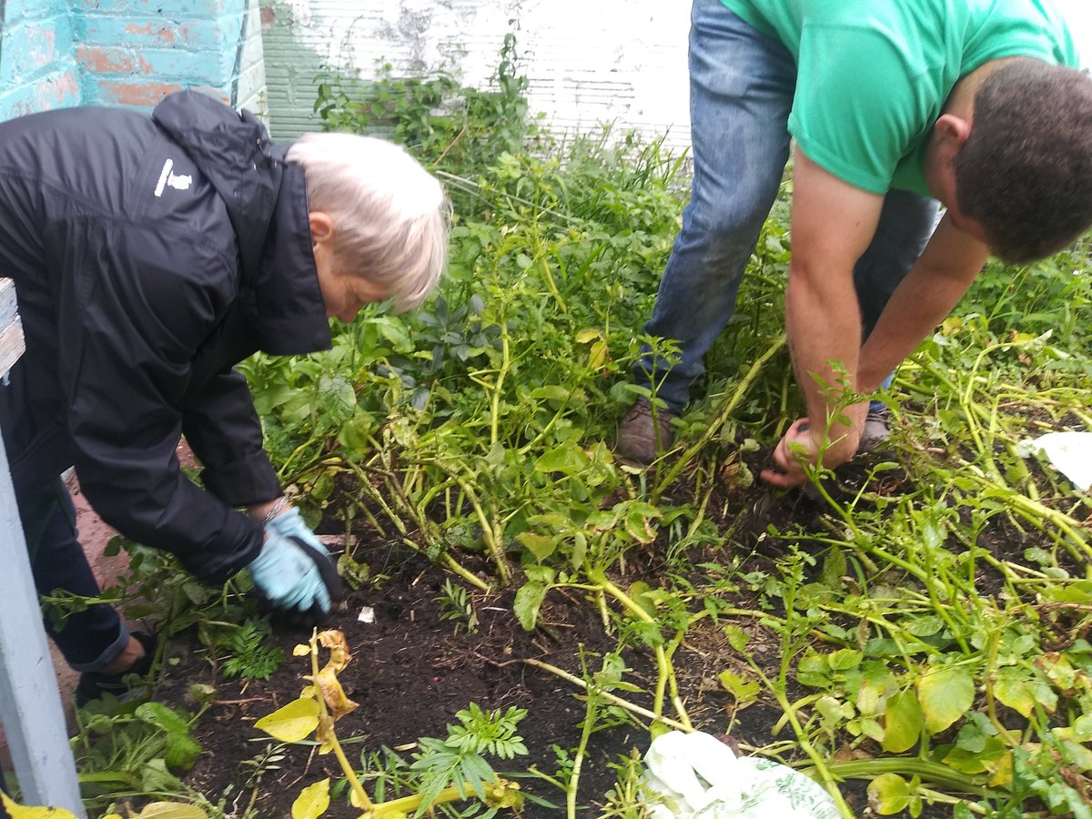 UptownKev30's tweet photo. #ArtistVillageDetroit
#DetroitBlightBusters
A little gardening help from our friends https://t.co/G21pgY9vmR