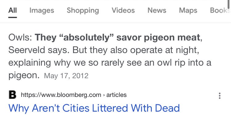 witch_mote's tweet photo. Bad news Animal Crossing fans. Now we all know the real reason Blathers invited Brewster to the island. https://t.co/hOzJoRCyfg