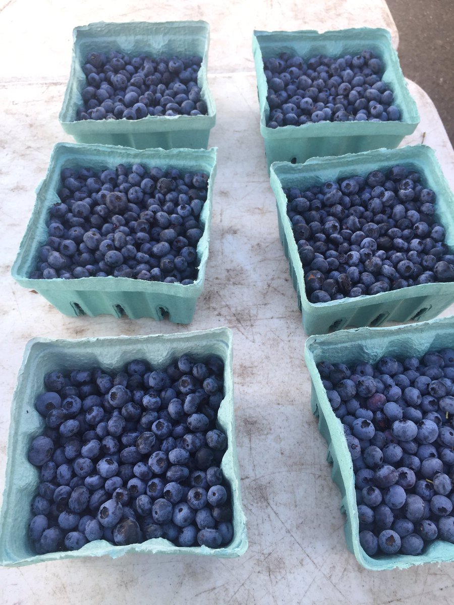 ACaseofUke's tweet photo. Ya gotta love a good New England farmer’s market👌🏻 #plantbased https://t.co/o0IrMszWEX