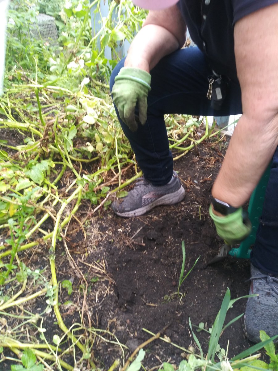 UptownKev30's tweet photo. #ArtistVillageDetroit
#DetroitBlightBusters
A little gardening help from our friends https://t.co/G21pgY9vmR