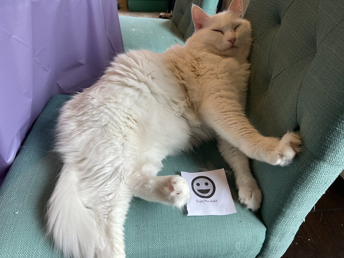 eggs_cat's tweet photo. I follow direcion’s https://t.co/VYTQQUPaOm