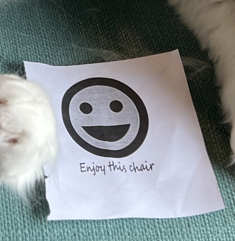 eggs_cat's tweet photo. I follow direcion’s https://t.co/VYTQQUPaOm