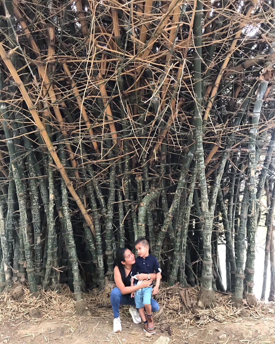 dana13_31's tweet photo. El objetivo de mi vida, para mi hijo con autismo,  es que él sea feliz, productivo,  Funcional e independiente como le sea posible. 
Eso no es una “ cura” es un plan de vida. Porque en esta familia  la palabra imposible no tiene poder 💪🏻#Autism #autimo https://t.co/CxxiLdZRl3