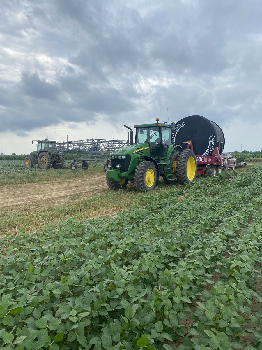 jordan_apers's tweet photo. Waiting patiently to see if the weatherman has the forecast right before I give these 🥒 a drink. #ontag #irrigation #pullitoutpullitin https://t.co/yRxzOy6dKz