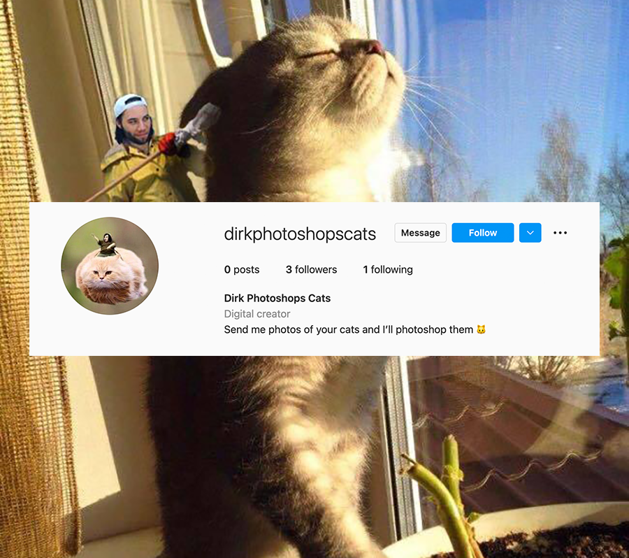 Hi guys, I just started a new agency where I photoshop the fuck out of people's cats.
Why my services are hella rad:
⁃ It’s fkn free, my dudes. 
- Just like most of your cats, I too am two years old.
That's it. Follow me and submit your pics on:
instagram.com/dirkphotoshops…