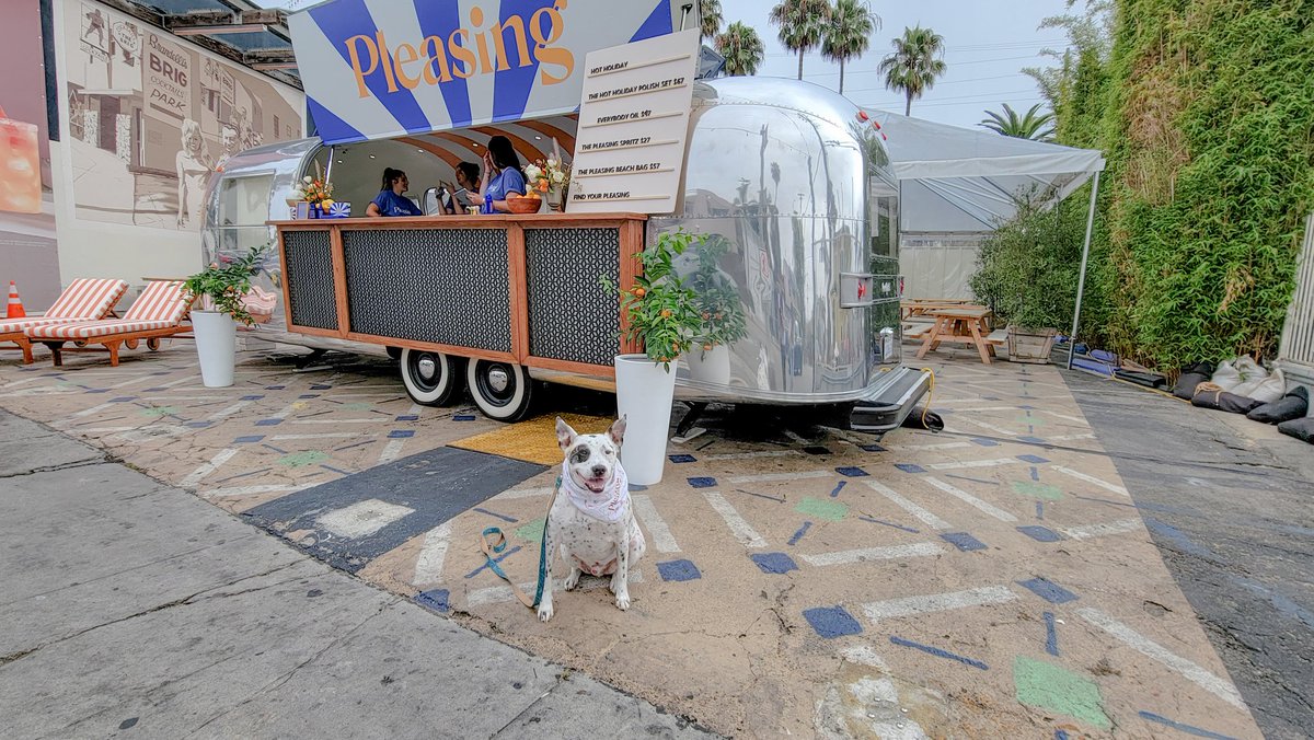 ItsHeather7's tweet photo. #Pleasing #PleasingDog #IAmPleased https://t.co/B26bsrc9xz
