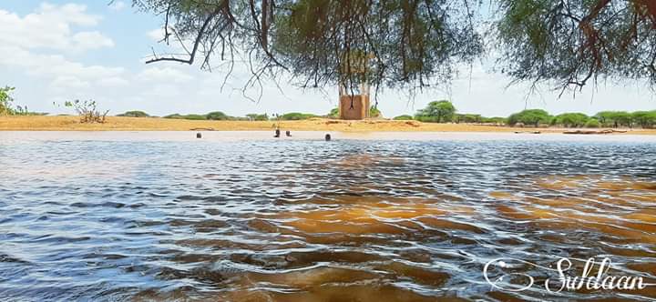 PuntlandTourism's tweet photo. #Widh Widh district in #Togdheer region of #Puntland has breath taking views and natural lakes suitable for live stock and hunting, the region located in last front of #Puntland's #Cayn region and is only 30 miles south of #Burco.
#Puntland
#Somalia
#Banadir
#Somaliland https://t.co/kDrFfC9PQm