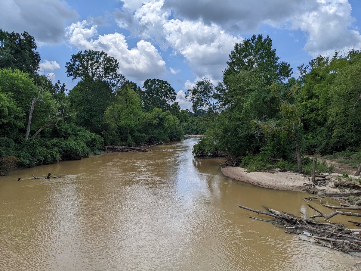robcash1011's tweet photo. The Neuse River is running higher than normal after the rain we've had over the past week. The "falls" at the old Milburnie Dam are little more than a ripple in the water. @raleighparks @TrekBikes @hammerheadrides #bikeraleigh #capitalareagreenway #neuserivertrail https://t.co/Y9Eb1tHepD