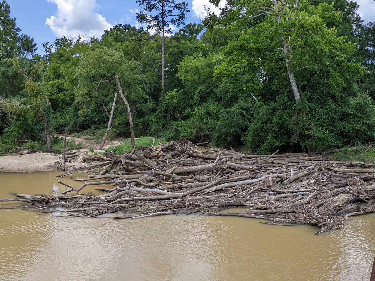 robcash1011's tweet photo. The Neuse River is running higher than normal after the rain we've had over the past week. The "falls" at the old Milburnie Dam are little more than a ripple in the water. @raleighparks @TrekBikes @hammerheadrides #bikeraleigh #capitalareagreenway #neuserivertrail https://t.co/Y9Eb1tHepD