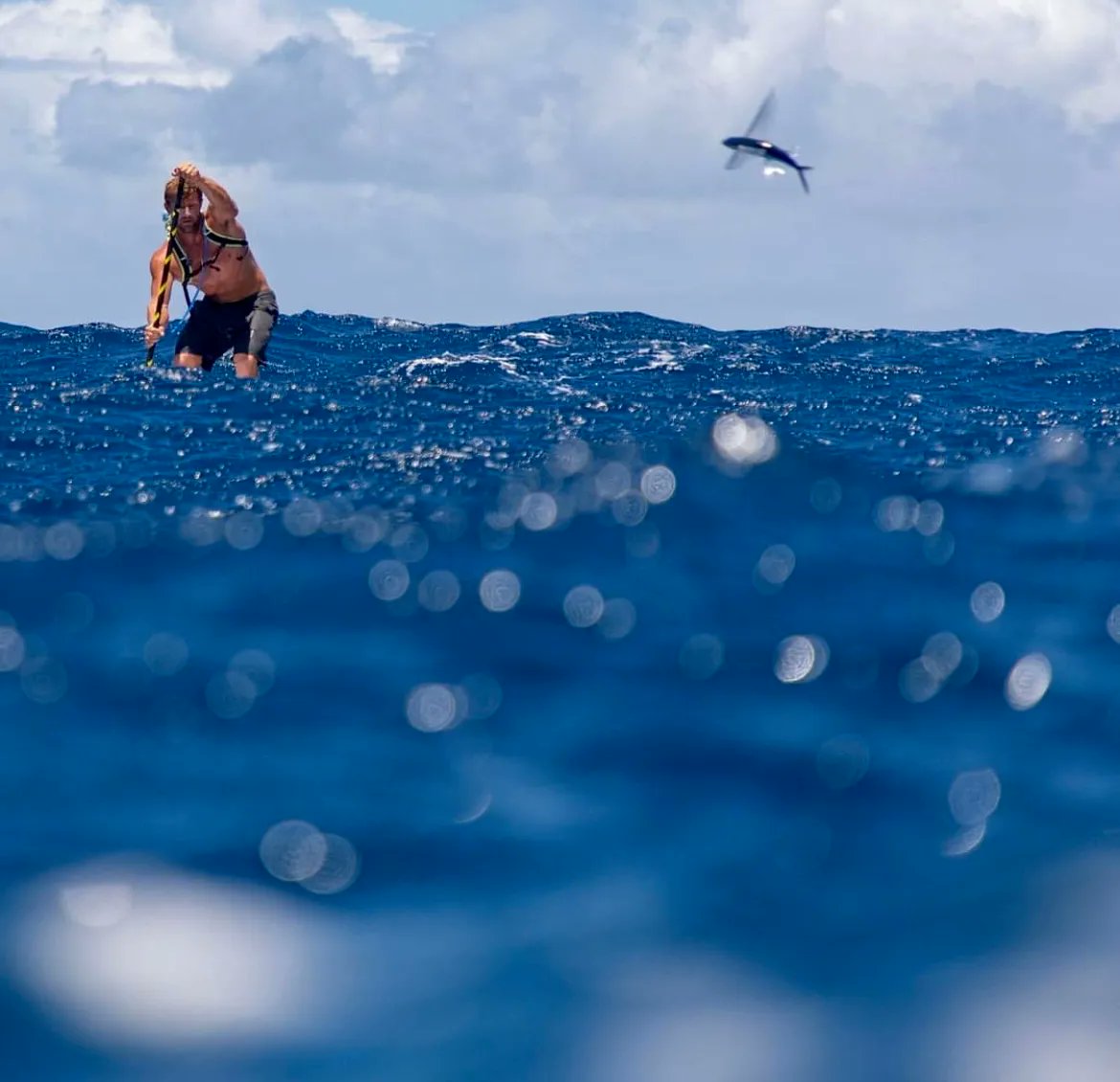 Paddle Imua tweet media