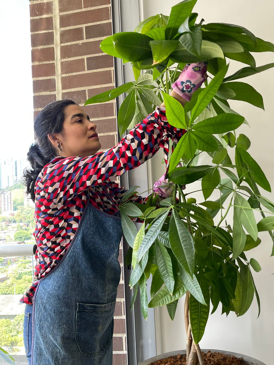 ljohanalopezz's tweet photo. Una mujer valiente que persigue sus sueños, ella es Sandra, la creadora del @eltallerdelunaplantitas (así la encuentran en instagram) es contadora, pero ahora se dedica a las plantas, así se lo indicó su ❤️. Amo reconocer a las mujeres que se atreven a cambiar su vida. https://t.co/gPKlGk9mkg
