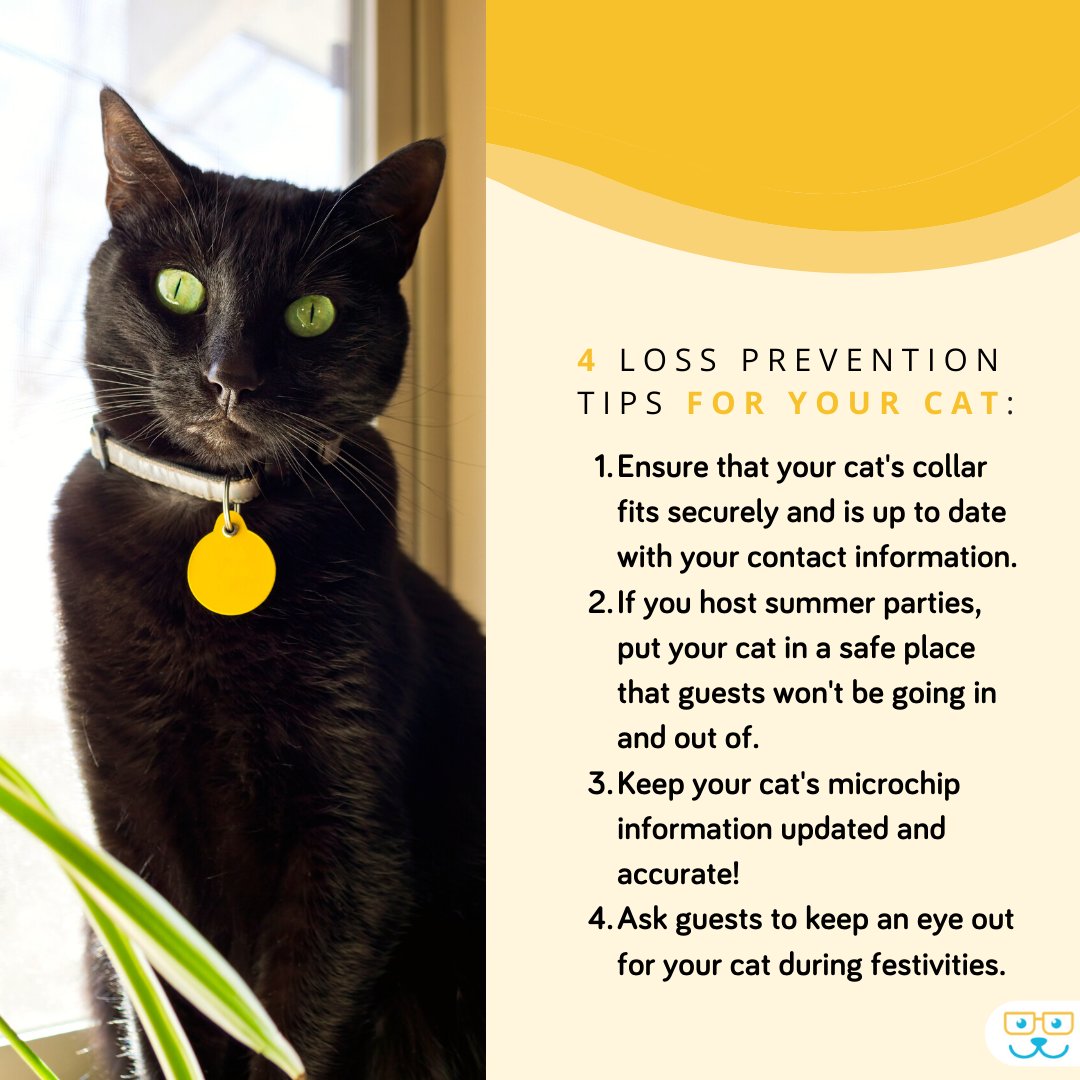 Prevent your kitty from going missing this summer with these tips! Need more information about microchips? Visit our website to learn more. #lostcats #catmicrochipping #catmicrochip #chipyourcat #chipyourpets