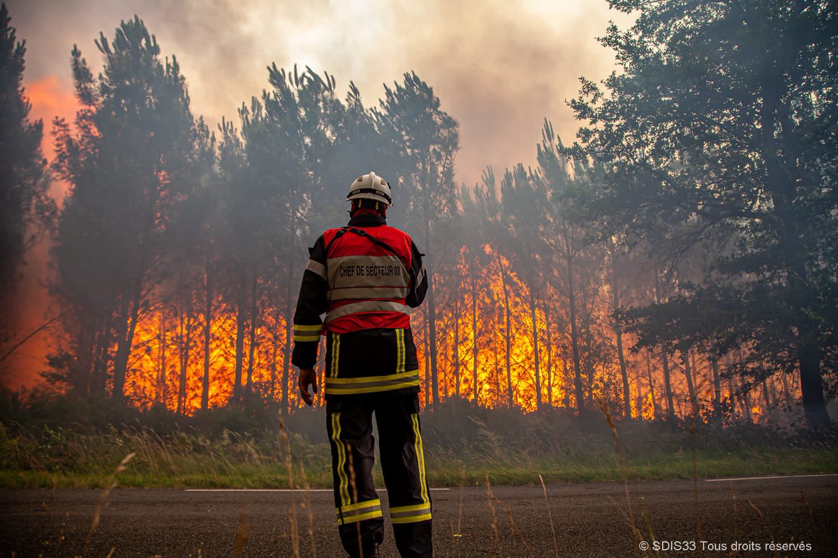 Grégory Allione tweet media