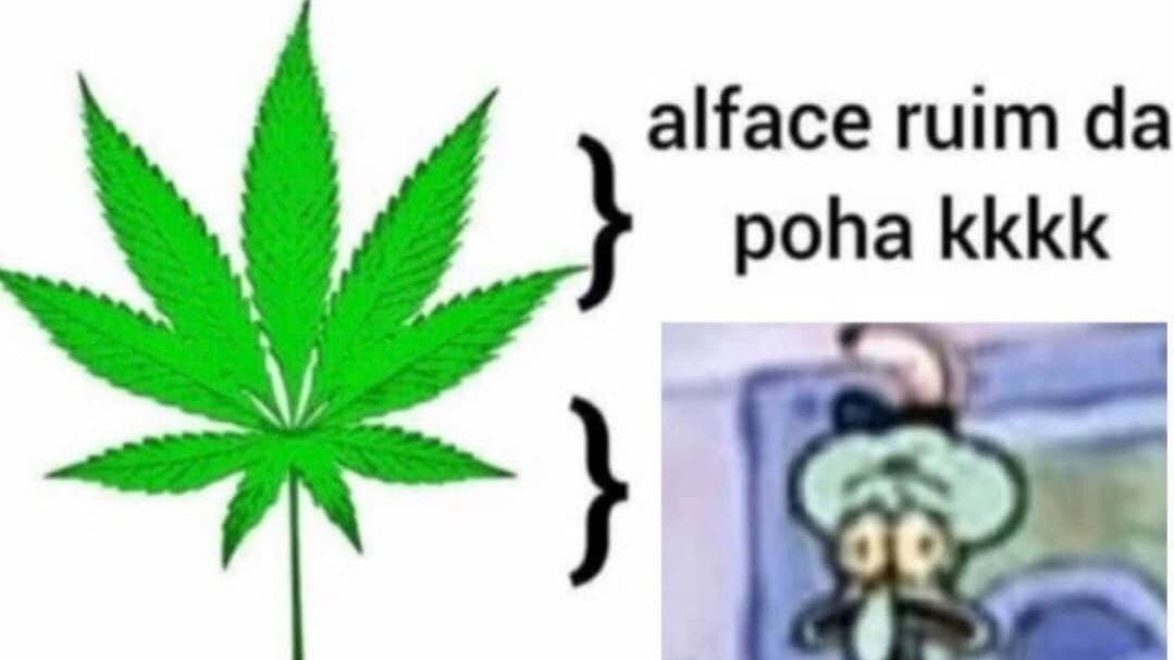 Shitpost só que de verdade (@shitpostverdade) on Twitter photo 