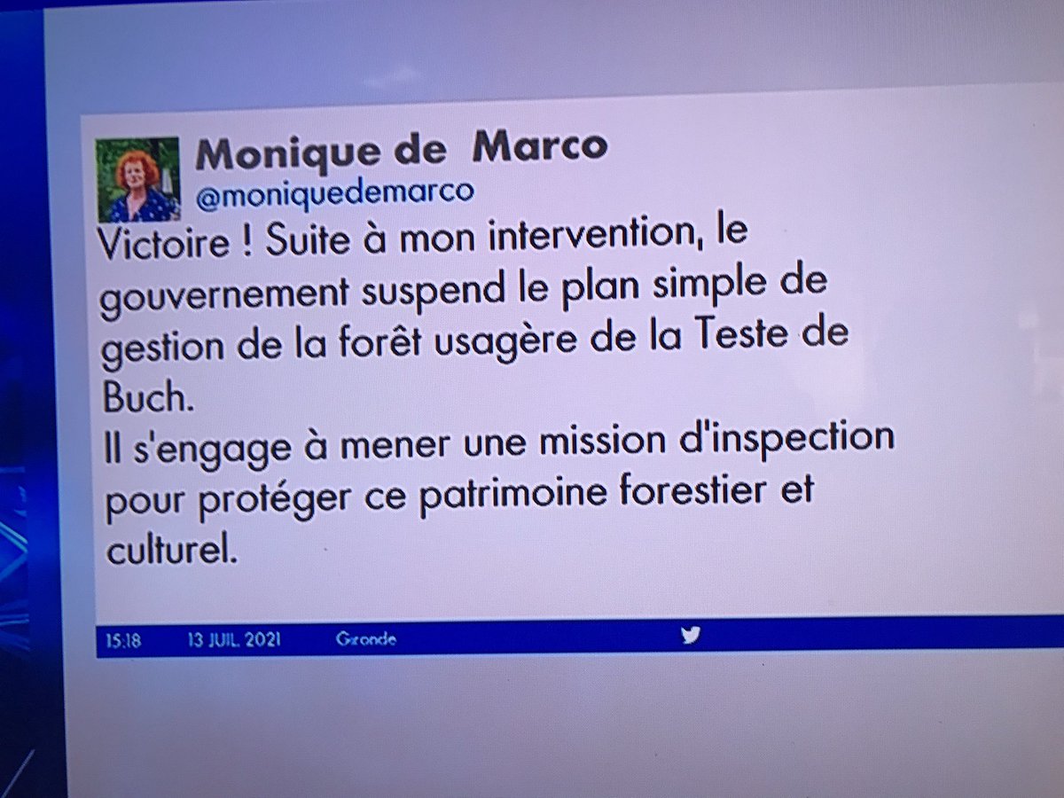 GregoireLaine's tweet image. Contente de vous 
La forêt est partie en fumée 
@moniquedemarco #EELV 
@CNEWS  #LaTestedeBuch