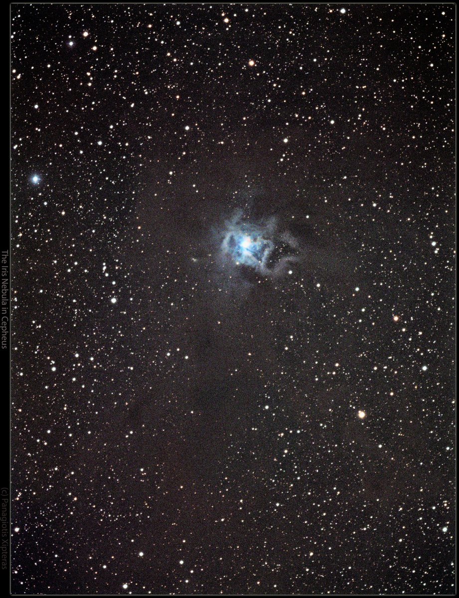 Summer nebulae ✨ #Astrophotography