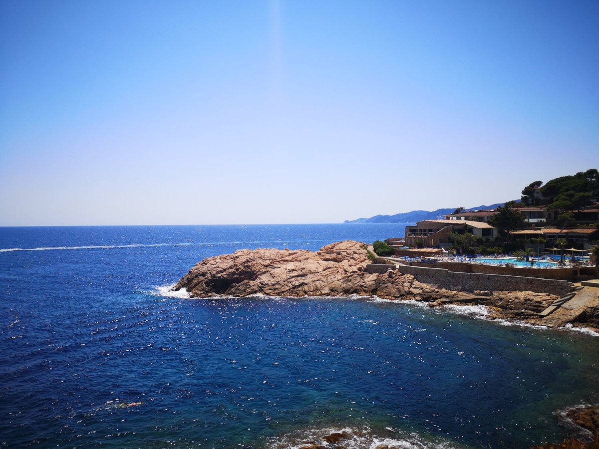 Nagudelo715's tweet image. Astonishingly beautiful venue for the #EMBOrnaLocalization meeting! Looking forward to a week packed with very interesting talks and posters about RNA localization and local translation 🤩