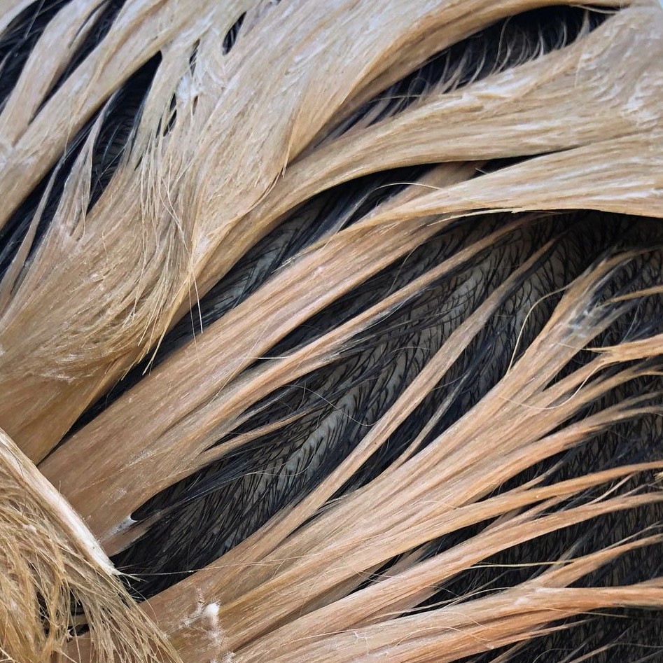 Good Dye Young 🌈 tweet media