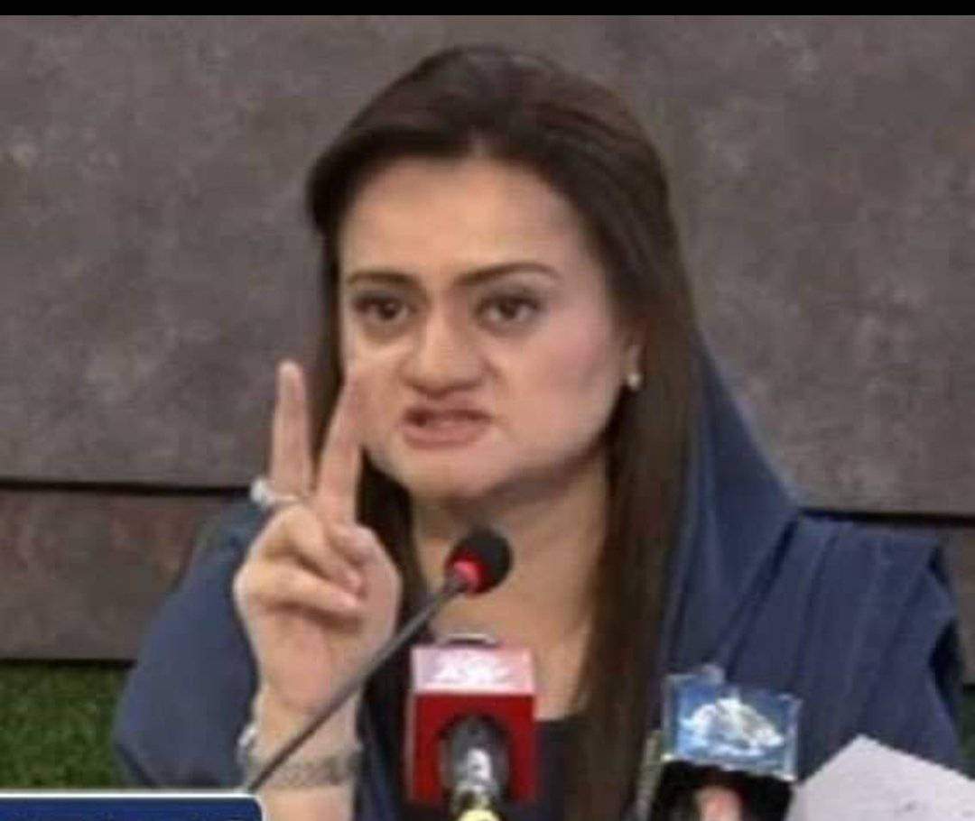 areej__thoughts's tweet image. دو ہزار میں دو سیٹیں ملنا بھی غنیمت سمجھو ورنہ اسکے قابل بھی نہیں تھے ن لیگی