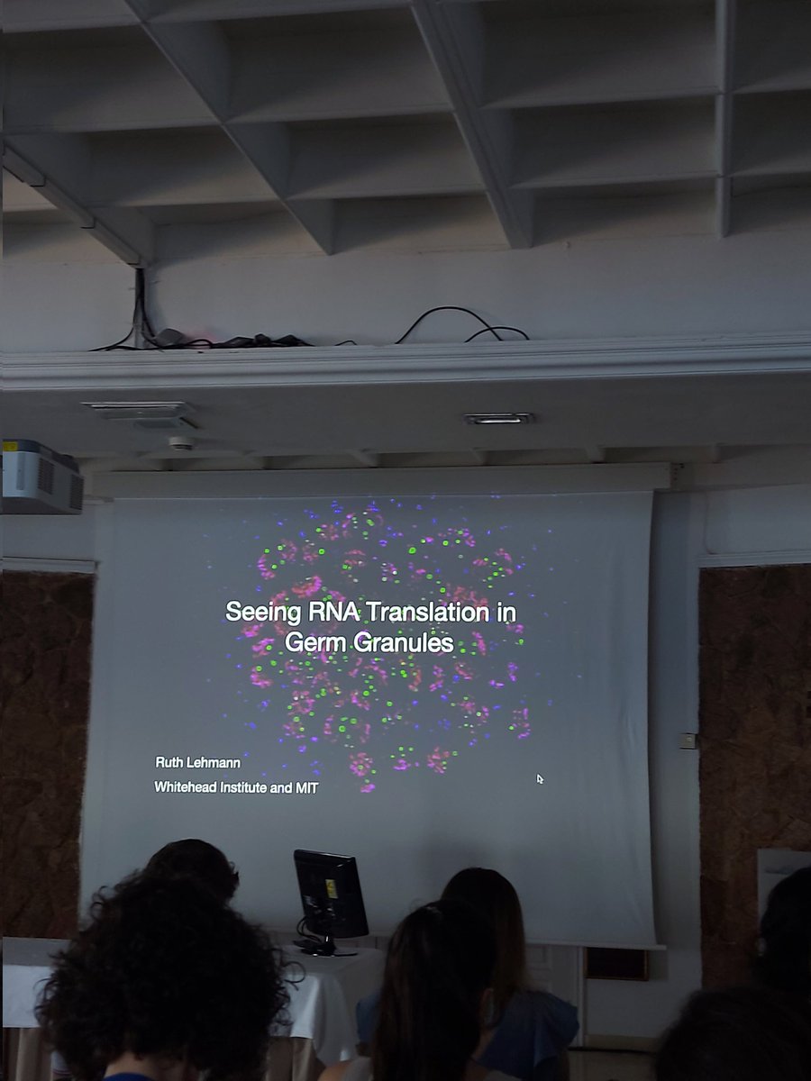 dalia_science's tweet image. #EMBORNAlocalization @EMBO is starting right now! So privileged to be here, in person, in my last year of PhD, giving a talk! I cannot thank @ilandavis @ilandavislab enough for sending me and so grateful to be here with @kiourlappou to cheer on each other - check her poster #89!