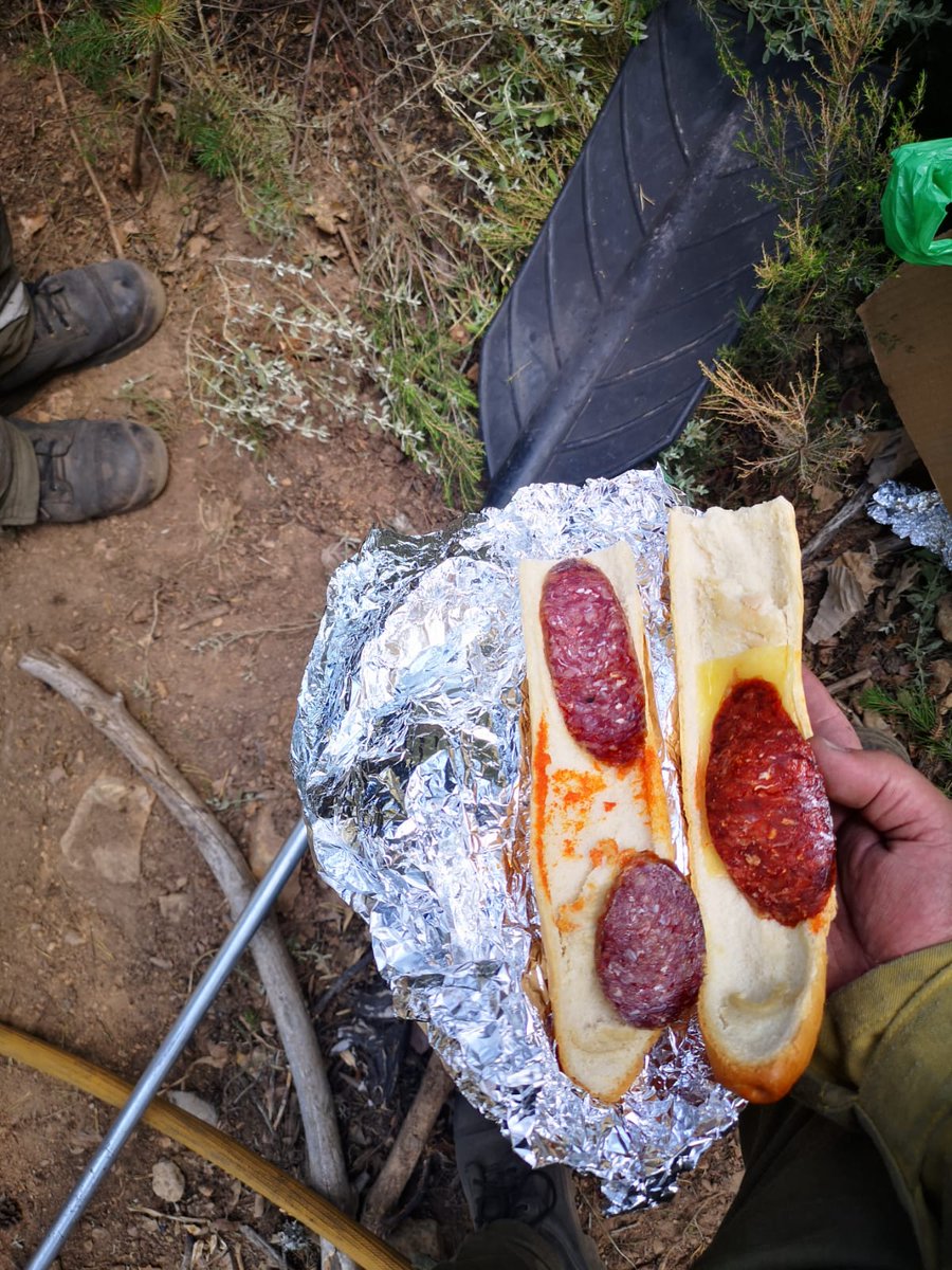 Hoy 17 de Julio de 2022 a las 18:00 h 

#IFMonsagro

Este es el bocadillo que acaban de recibir los que allí llevan trabajando desde hace 7 días.

<a href="/naturalezacyl/">Naturaleza Castilla y León</a> y <a href="/jcyl/">Junta de Castilla y León</a> intentando desmentir lo imposible.