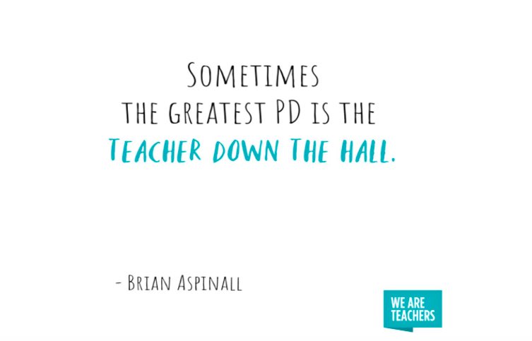 Sometimes the greatest PD is the teacher down the hall.