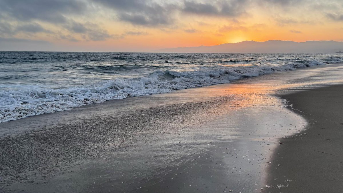 VeniceChamber's tweet photo. Sunset vibes, happy times. ❤️ Join us on the beach and enjoy the view. 🌅

📸 cristorical

#venicebeach #ilovevenice #venicelocals #beachcommunities #veniceliving #venicelife #venicelocals #beachcommunities #veniceliving #venicelife #beachvacay #beaches https://t.co/NfvgcgS7e7
