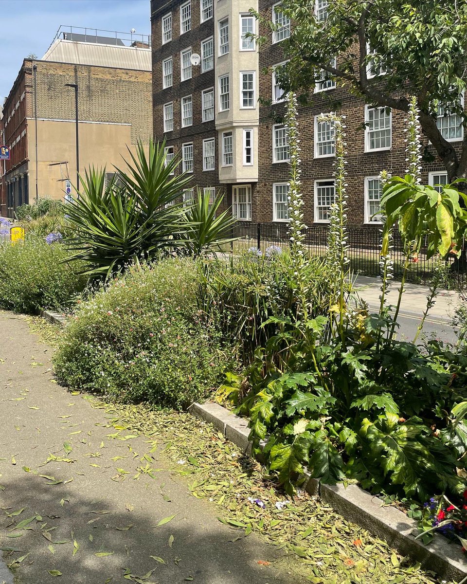 J & L Gibbons tweet media