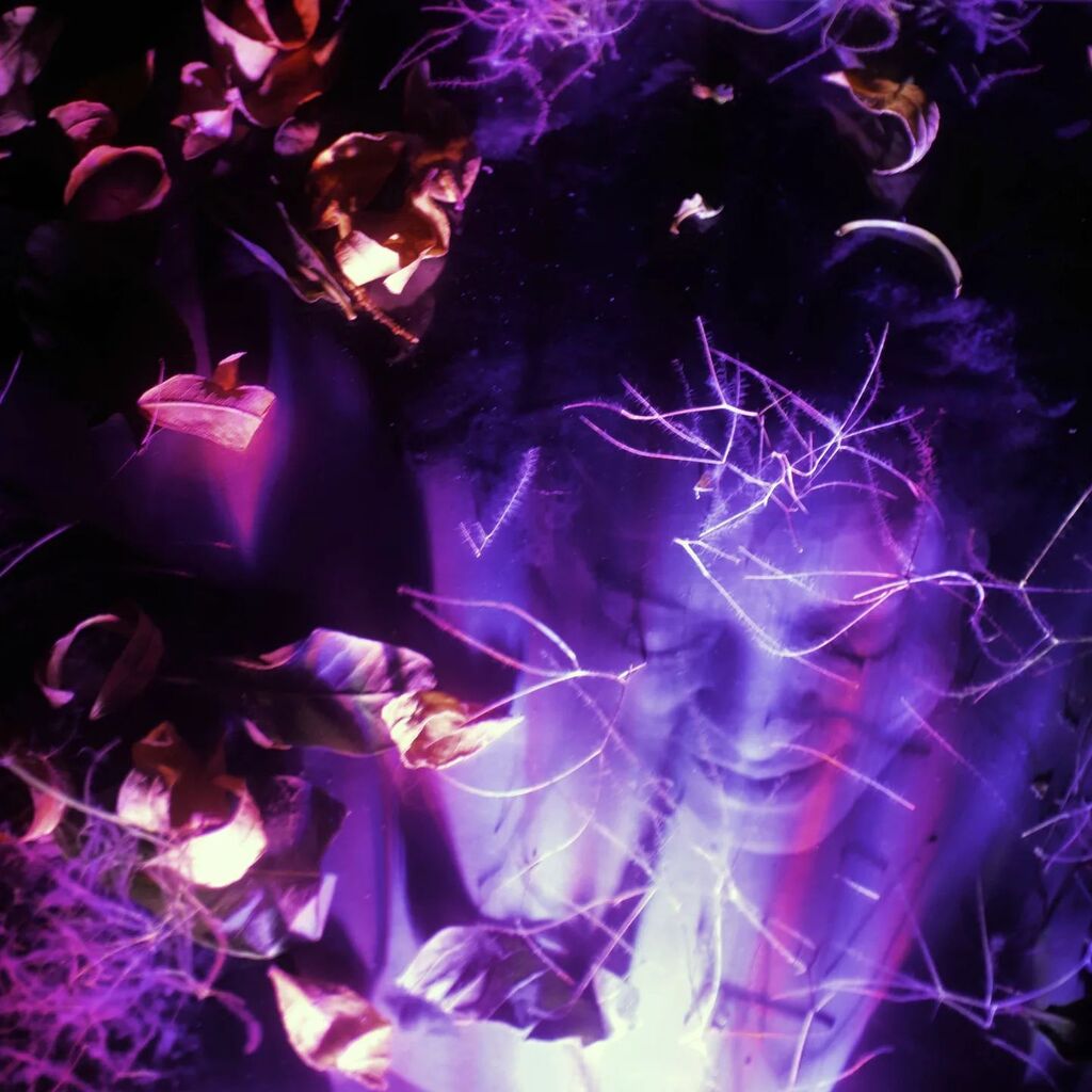 moleyoleyoley's tweet photo. Experiment with flowers
#experiment #selfportrait #flowers #light #g44 #g44members #artphotography #fineartphotography #createcommune #creative #agameoftones #moodygrams #edgygrams #instagram #womenphotographers https://t.co/bwbbBhttf0 https://t.co/0ytDSZazGR