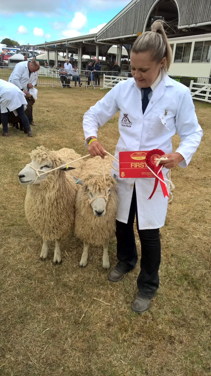 My winning pair of tup lambs 🥰

Too many things to hold 🤣
Although the judge commented on how well handled they where as I was the only one showing a pair with a single handler ☺️

#LeicesterLongwool #GoNative #RareBreed #ShowSeason #GreatYorkshireShow #Winners